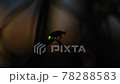 ゲンジボタルの光の点滅（シルエット） 78288583