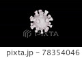 Coronavirus (Covid 19) 3d model. The realistics medical animation 78354046