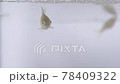 金魚的炸魚 78409322