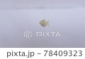 金魚的炸魚 78409323