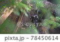 水車和水聲 78450614