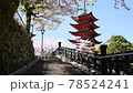Miyajima's Tahoto Pagoda and falling cherry blossom petals 78524241