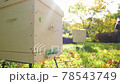Paseka, beehive bee. Home for bees. 78543749