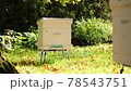 Paseka, beehive bee. Home for bees. 78543751