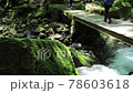 赤目四十八滝の山道を歩く登山客（三重県名張市） 78603618