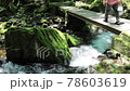 赤目四十八滝の山道を歩く登山客（三重県名張市） 78603619