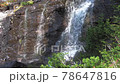 Waterfall with pine forest on sunny day 78647816