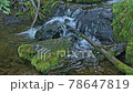 Stream in rainforest. Water cascades down on boulder 78647819