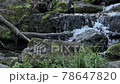Stream flows along stone ledges and breaks into small splashes 78647820