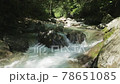 涼しげな清流、水の音と蝉の声 78651085