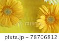 Gerbera daisy flowers on yellow background moving in water with ripples. 78706812