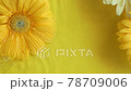 Gerbera daisy flowers on yellow background moving in water with ripples. 78709006