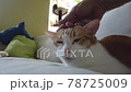 ginger cat is so comfortable and close the eyes 78725009