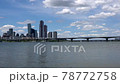 Ichon Han River Park 78772758