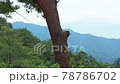 かすんで見える富士山 78786702