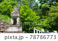 新緑が美しい神社の参道を歩く風景 78786773
