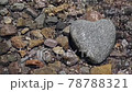 Waterside heart stone (heart-shaped stone) 78788321