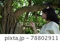 A woman standing in a tree 78802911