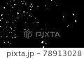 降り注ぐ桜吹雪 78913028