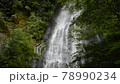 【京都府】　京丹波町　琴滝の流れ　夏イメージ 78990234