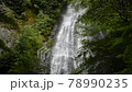 【京都府】　京丹波町　琴滝の流れ　夏イメージ 78990235