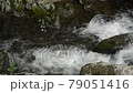 ≪京都府　るり渓渓谷の流れ≫　夏イメージ　京都府南丹市園部町 79051416