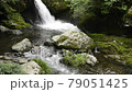 ≪京都府　るり渓渓谷の流れ≫　夏イメージ　京都府南丹市園部町 79051425
