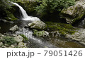 ≪京都府　るり渓渓谷の流れ≫　夏イメージ　京都府南丹市園部町 79051426