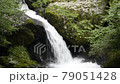 ≪京都府　るり渓渓谷の流れ≫　夏イメージ　京都府南丹市園部町 79051428