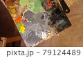 Closeup shot of the painting palette. 79124489
