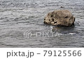 急な川の流れと上流から運ばれてきた大きな石 79125566