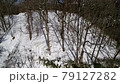 雪壩湖的鳥瞰圖 79127282