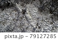 雪壩湖的鳥瞰圖 79127285