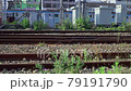 The train passes. Run on the railroad tracks. Slow motion. Japanese landscape. 79191790