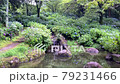 繡球花盛開的公園麵包 79231466