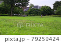 Idyllic park. Slow motion. Japanese landscape. 79259424
