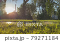 lawn sprinkler. grass irrigation 79271184