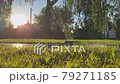 lawn sprinkler. grass irrigation 79271185