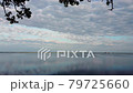 Mixed type forest illuminated by sun beams in the morning 79725660