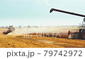 Unloading grains into truck by unloading auger. Combine harvesters cuts and threshes ripe wheat grain. Wheat harvesting on field in summer season. Process of gathering crop by agricultural machinery 79742972