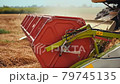 Rotary straw walker combine harvester cuts and threshes ripe wheat grain. Platform grain header with thresher reel, cutter bar reaping cereal ears. Gathering crop by agricultural machinery on field 79745135