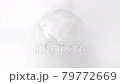 Monotone digital network image white background animation 79772669