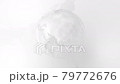 Monotone digital network image white background animation 79772676