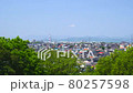 Residential area from a hill and fresh green trees 80257598