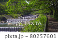 Fresh green Hakone promenade along the Miyagino Hayakawa bank 80257601