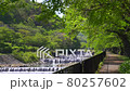 Fresh green Hakone promenade along the Miyagino Hayakawa bank 80257602