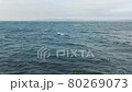 Waves on the sea, seascape. The surface of the sea on a windy day. 80269073