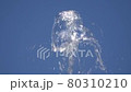 噴水 80310210