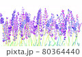 Background video of lavender flowers swaying 80364440