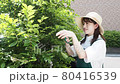 修剪花園樹木的家庭主婦 80416539